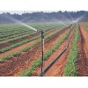 生產噴灌帶-有品質的噴灌帶哪里有供應